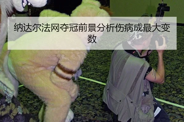 na-da-er-fa-wang-duo-guan-qian-jing-fen-xi-shang-bing-cheng-zui-da-bian-shu-2-290.jpg