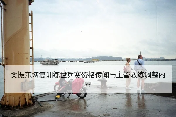 樊振东恢复训练世乒赛资格传闻与主管教练调整内幕